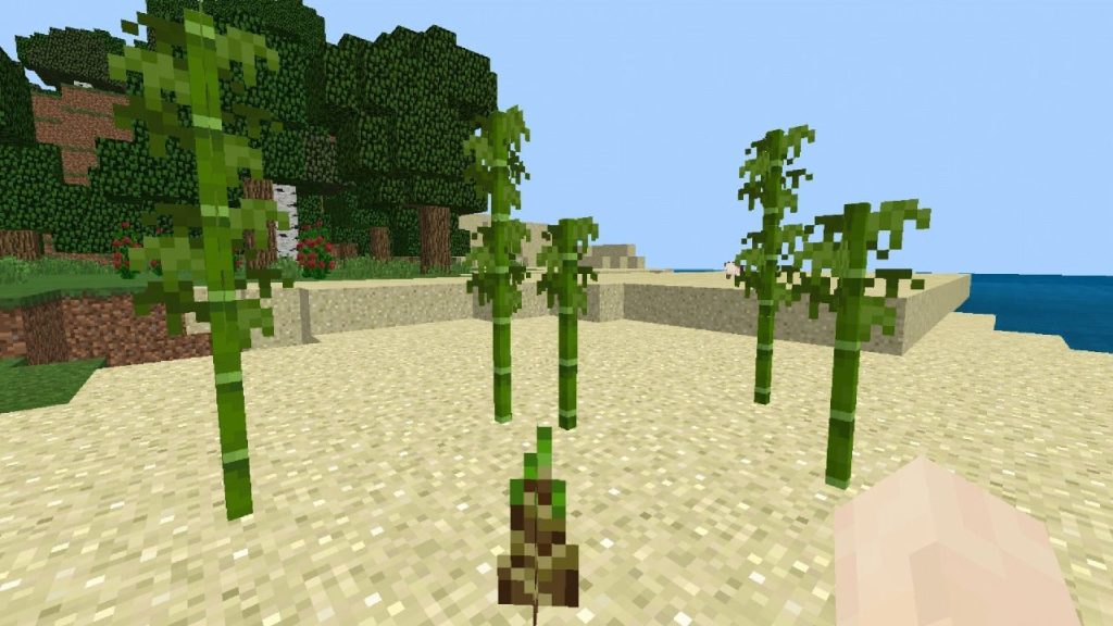 Бамбук в Майнкрафте на песке