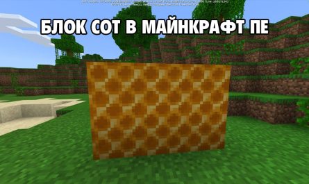 Блок пчелиных сот Minecraft внешний вид