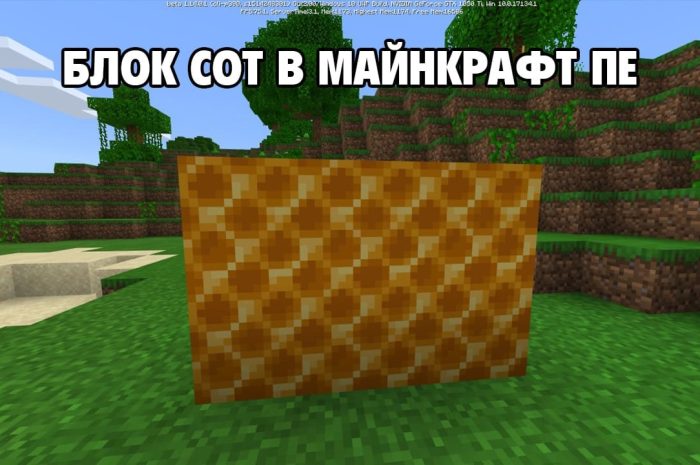Блок пчелиных сот Minecraft: инструкция для игроков