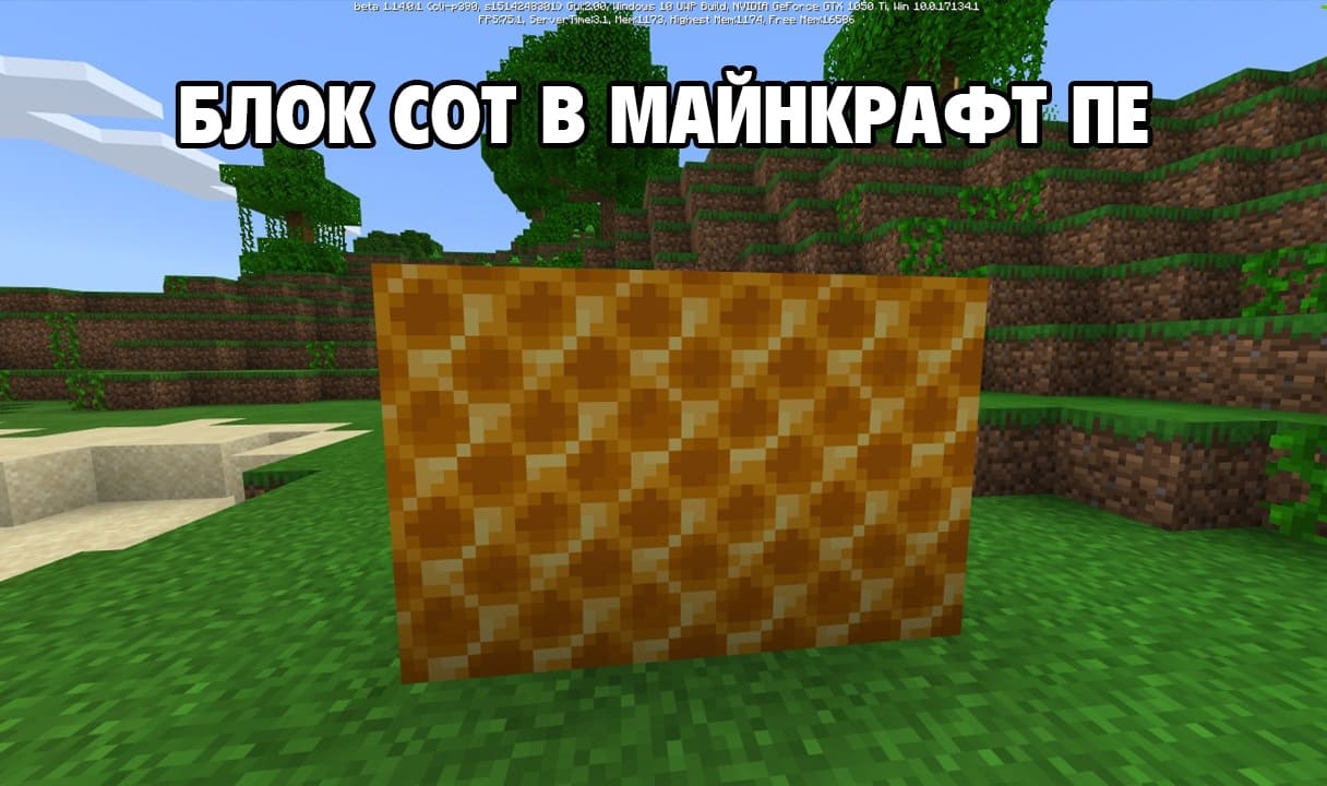 Блок пчелиных сот Minecraft внешний вид