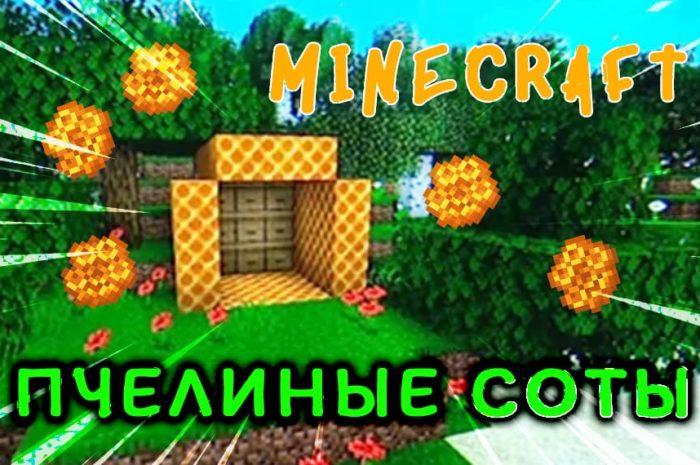 Пчелиные соты в Майнкрафте