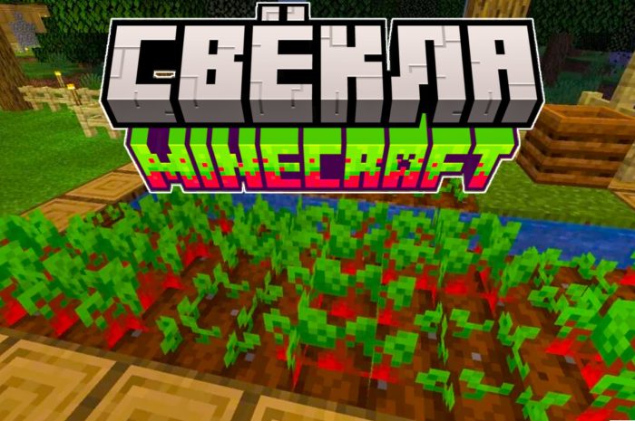 Свекла Майнкрафт: гайд