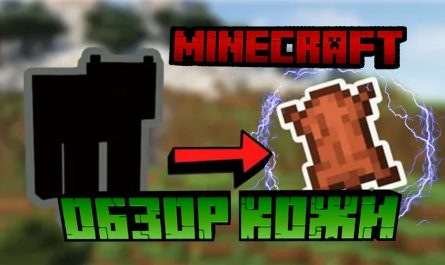 Как сделать кожу в Minecraft